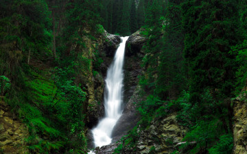 Картинка природа водопады водопад лес деревья