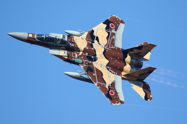 Обои картинки фото авиация, боевые самолёты, истребитель, f-15dj, mitsubishi