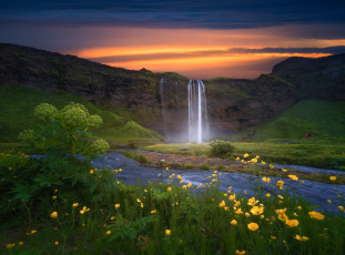 Картинка природа водопады исландия водопад цветы закат