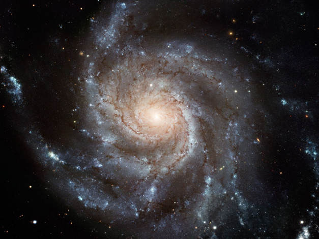 Обои картинки фото m101, космос, галактики, туманности