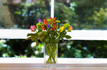 Картинка цветы букеты композиции ваза окно подоконник зелень букетик