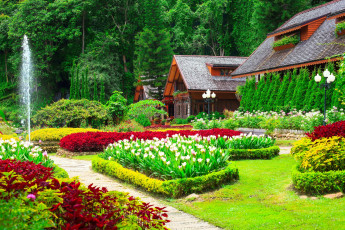 Картинка природа парк дорожки домики тюльпаны