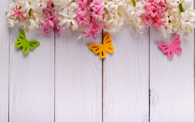 Обои картинки фото цветы, гиацинты, бабочки, весна