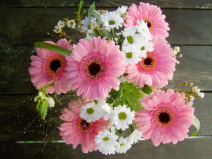 Картинка цветы букеты +композиции розовые герберы букет белые хризантемы