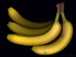 обоя бананы, еда