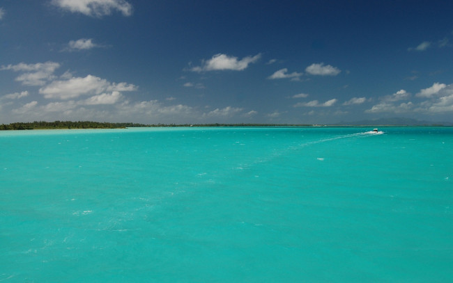 Обои картинки фото polynesia, природа, моря, океаны
