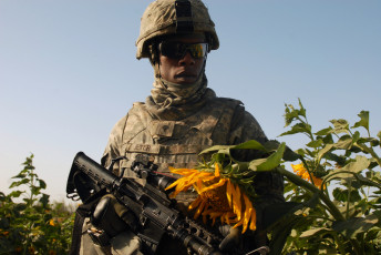 Картинка оружие армия спецназ солдат подсолнух каска