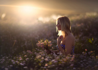 Картинка девушки -unsort+ блондинки in dreams девушка поле цветы солнце