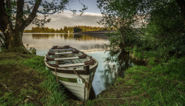 Картинка корабли лодки +шлюпки лес река лодка