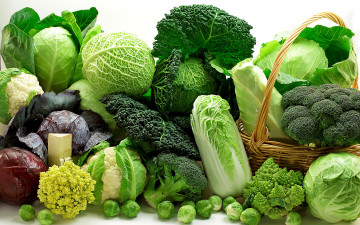 обоя еда, капуста и её разновидности, разные, капуста, овощи, корзинка, зелень, сорта