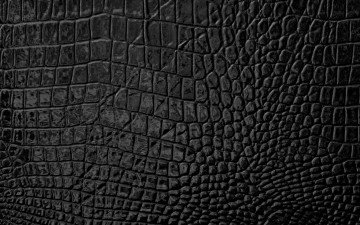 Картинка разное текстуры skin leather кожа texture