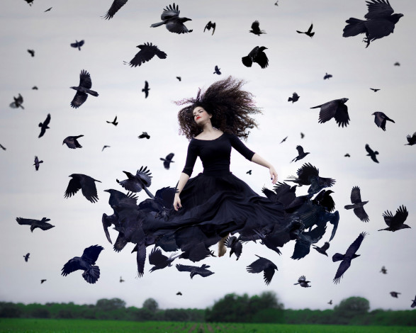 Обои картинки фото девушки, -unsort , креатив, девушка, в, чёрном, птицы, полёт, платье