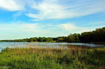 Картинка природа реки озера лето