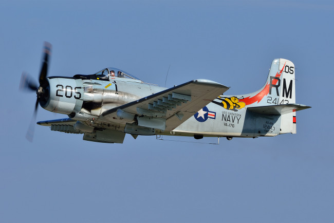 Обои картинки фото авиация, боевые самолёты, skyraider, штурмовик, a-1, скайрейдер