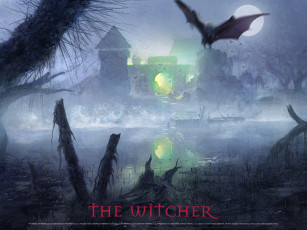 Картинка видео игры the witcher