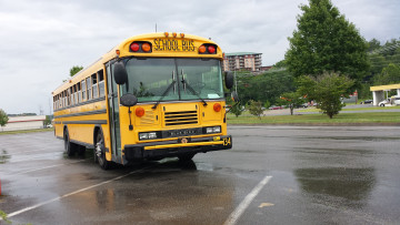 Картинка school+bus автомобили автобусы транспортное средство автомобиль