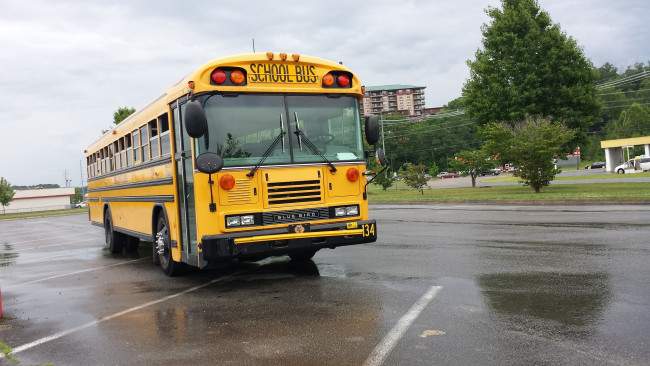 Обои картинки фото school bus, автомобили, автобусы, транспортное, средство, автомобиль