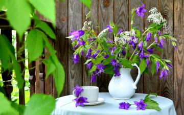 Картинка цветы букеты +композиции лето дача букет колокольчики чашка кувшин доски