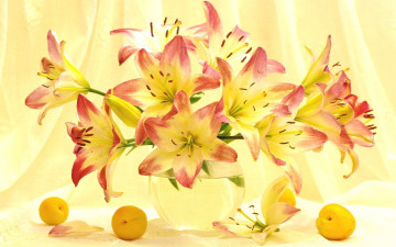 Картинка цветы лилии +лилейники свет абрикосы лето букет