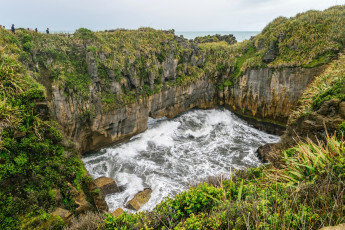 Картинка новая+зеландия природа побережье водоем трава камни