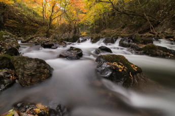 Картинка природа реки озера вода l water stream waterfall листья осень поток водопад