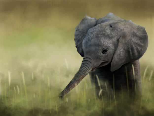 Обои картинки фото рисованное, животные,  слоны, дождь