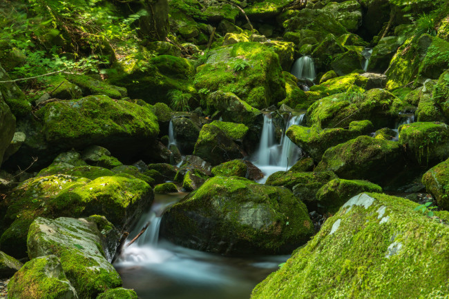 Обои картинки фото природа, водопады, water, stream, autumn, leaves, осень, листья, waterfall, водопад, поток, вода