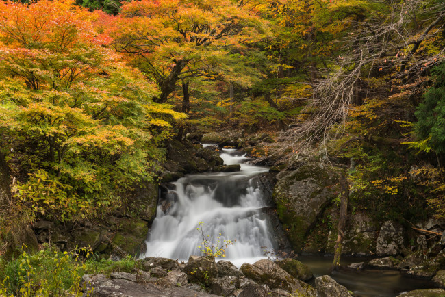 Обои картинки фото природа, водопады, water, водопад, осень, листья, вода, поток, l, stream, waterfall