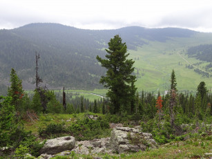 Картинка природный+парк+ергаки природа горы ергаки деревья россия природный парк сибирь