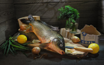 Картинка еда рыба +морепродукты +суши +роллы рыбы