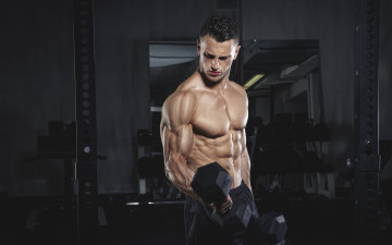 Картинка спорт body+building бодибилдинг культурист мужчина мышцы тяжелая атлетика гантели