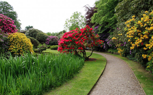 Обои картинки фото biddulph grange garden, england, природа, парк, biddulph, grange, garden