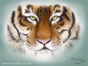 обоя tiger, рисованные, животные, тигры