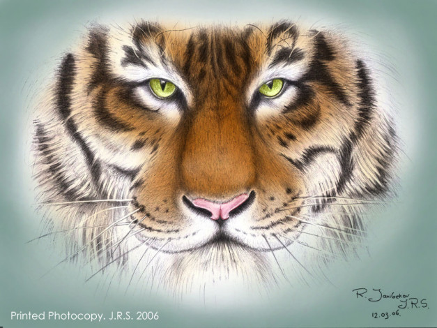 Обои картинки фото tiger, рисованные, животные, тигры