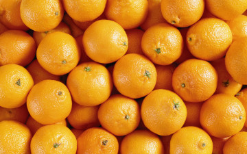 Картинка еда цитрусы мандарины фрукты плоды