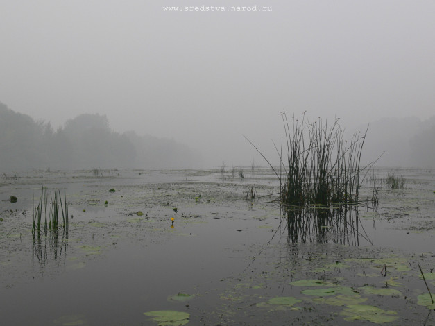 Обои картинки фото речка, тумане, природа, реки, озера