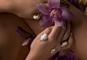 Картинка разное украшения аксессуары веера кольцо орхидея кулон серьги