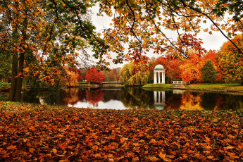 Картинка autumn природа парк беседка пруд осень