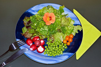 Картинка еда салаты закуски овощи салат