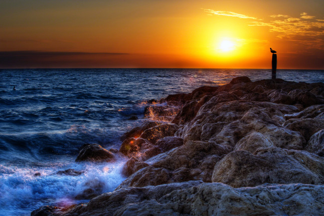 Обои картинки фото sunset, природа, восходы, закаты, камни, океан, чайка, закат