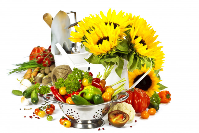 Обои картинки фото еда, овощи, подсолнухи, зелень, перец, цветная, капуста, ведро, лопата, помидоры, огурцы, миска, картофель, морковь