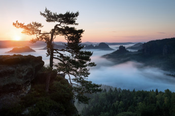 Картинка природа восходы закаты лес туман утро небо эльбские песчаниковые горы саксонская швейцария