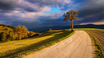 Картинка природа дороги небо поля свет облака дерево тучи италия