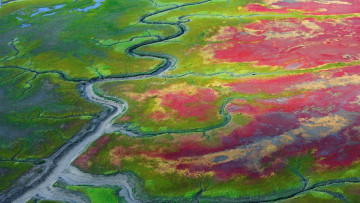 Картинка природа другое после отлива ватты осушка прибрежные отмели аляска национальный парк катмай сша