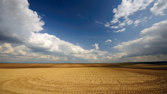 Обои картинки фото природа, поля, пшеница, небо, сербия, облака