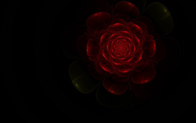 Обои картинки фото 3д графика, цветы , flowers, роза