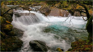 Картинка природа водопады дерево осень поток река камни