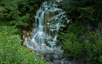 Картинка природа водопады ручей водопад mount rainier national park сша ветки кусты каскад камни лес вашингтон