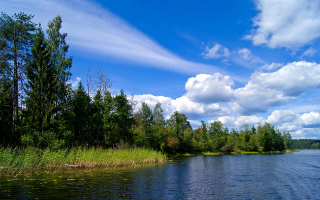 Обои картинки фото природа, реки, озера, река, лес, деревья, небо, облака, лето