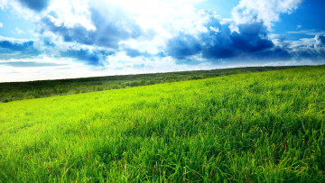 Картинка природа луга трава облака небо поля